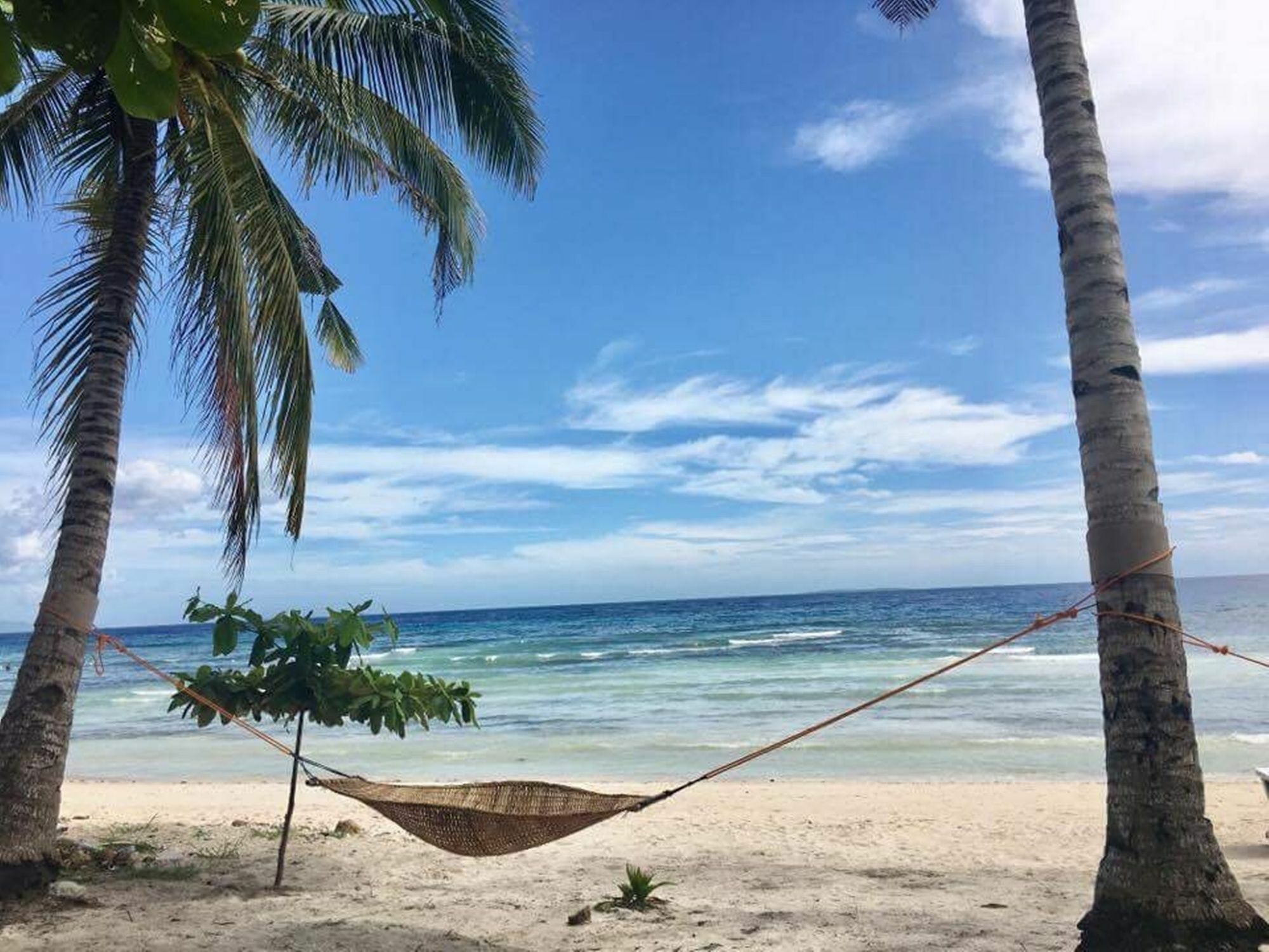 Willa The Whitehouse By The Sea Panglao Zewnętrze zdjęcie